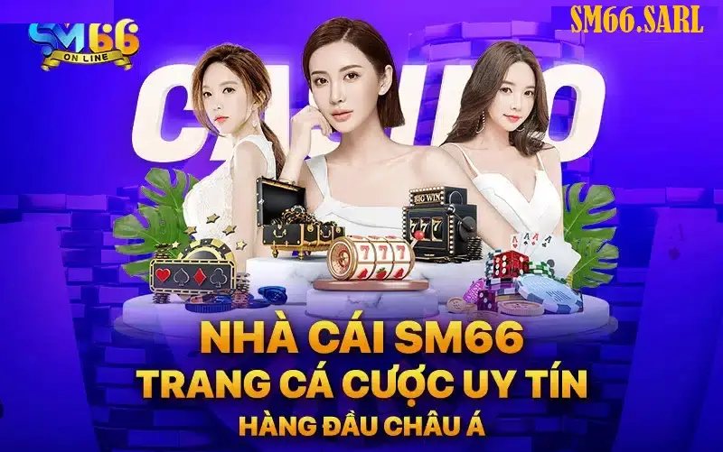 Xuất xứ và lịch sử hình thành Sm66